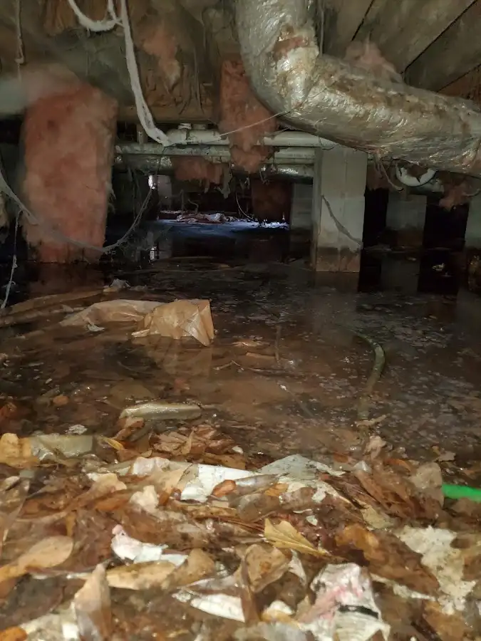 Crawl space flood assessment for Leak Detection & Repair in Glencoe