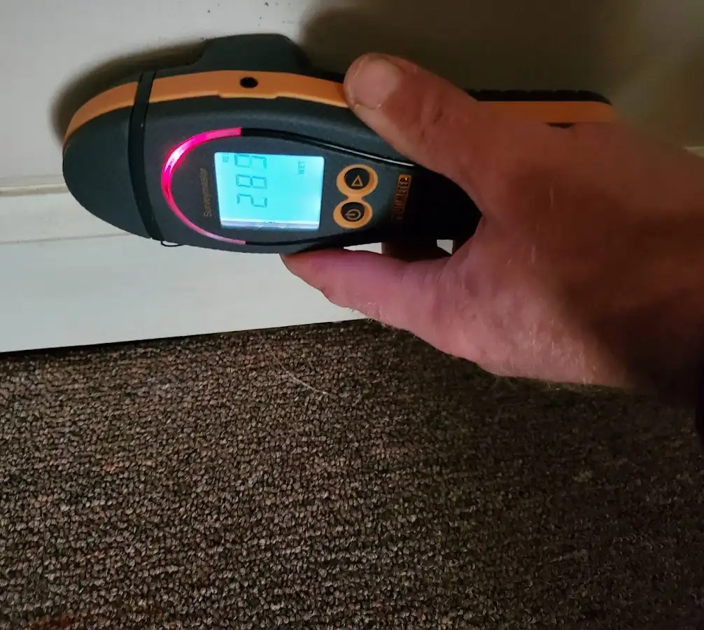 Moisture detection at baseboard during Burst Pipe Cleanup in Glencoe