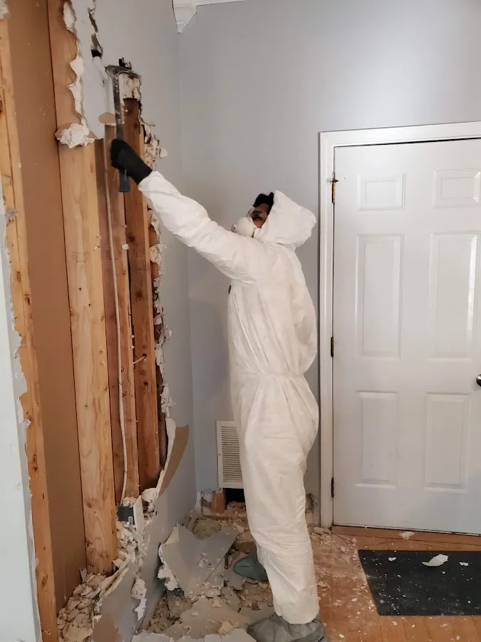 Mold Remediation & Removal in Glencoe, IL
